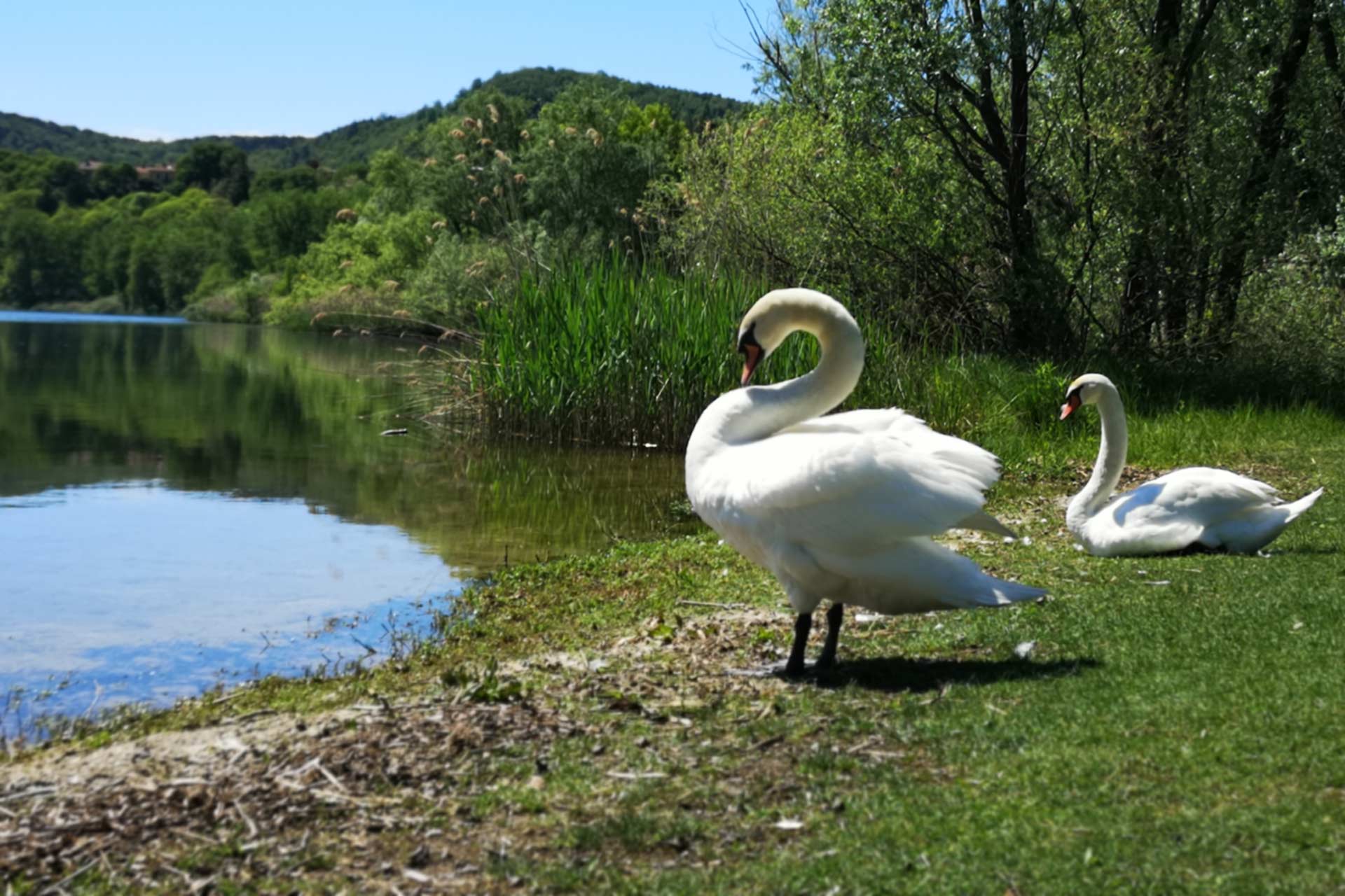 Lago Hotel Montelago Comabbio